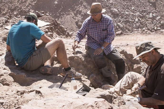 Hallan un nuevo yacimiento paleontológico en Morella