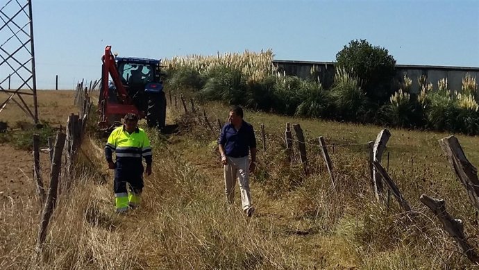 Nota De Prensa. Se Inician Labores De Desbroce En Varios Caminos De Guarnizo.