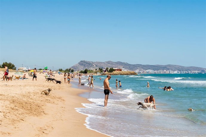 Ndp Cullera Amplia El Servei De La Platja Per A Gossos Per L'alta Demanda