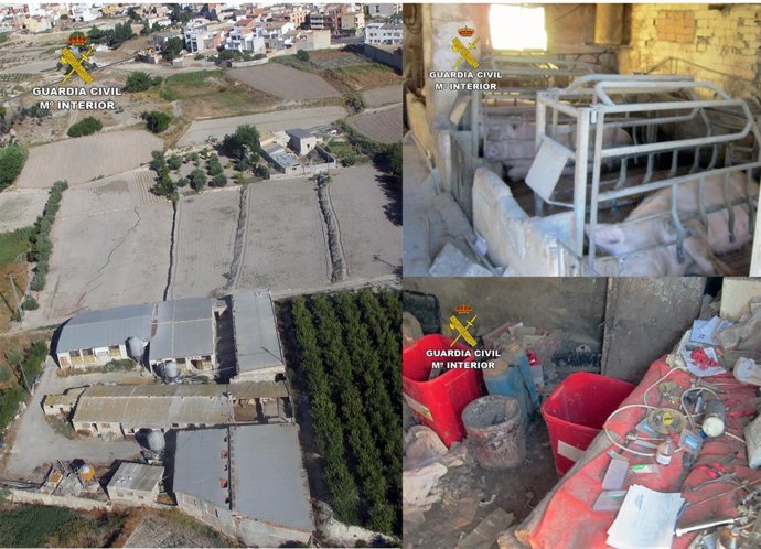 Imágenes de la explotación ganadera intervenida por la Guardia Civil