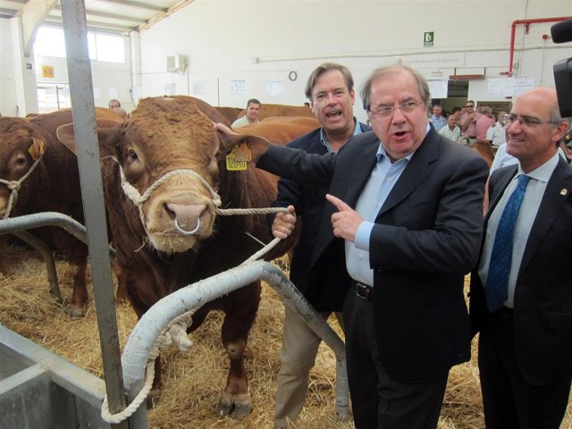 Herrera junto a una cabeza de ganado presente en Salamaq