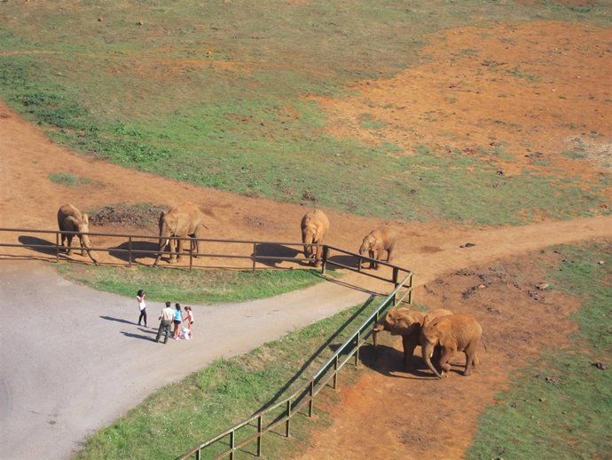 Elefantes en Cabárceno. Telecabina. 