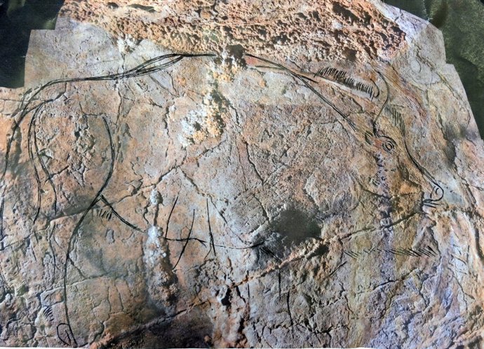 Bisonte grabado en la cueva de Alkerdi 2.