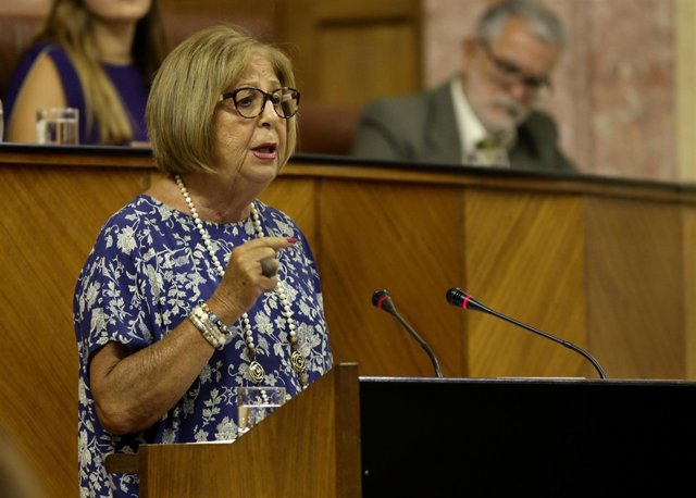 La consejera de Educación, Adelaida de la Calle, en el Pleno del Parlamento