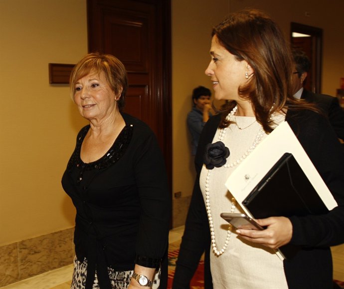 Celia Villalobos en el Congreso
