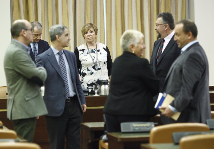 Celia Villalobos en el Congreso