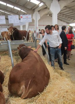 Luis Tudanca en la feria Salamaq.
