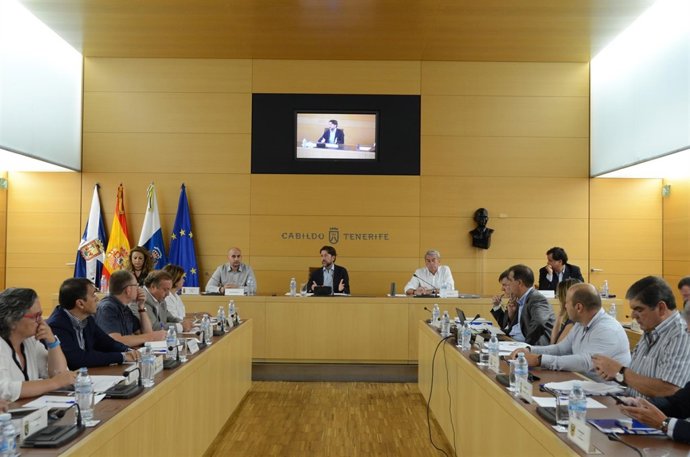 Consejo Insular de Administración Territorial de Tenerife