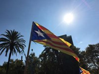 Manifestación Diada 2016 | Directo