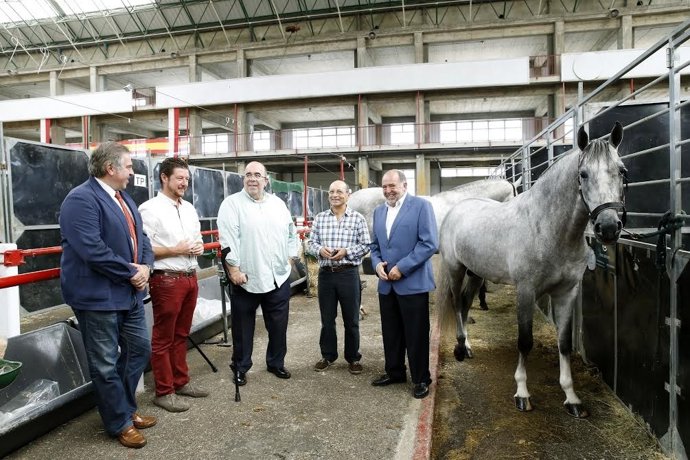 Concurso de caballos