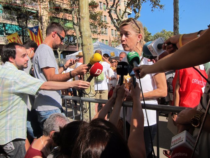 Neus Lloveras (AMI) atiende a los medios en la manifestación de la Diada