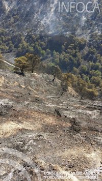 Controlado el incendio forestal en Archidona tras afectar a un centenar de hectáreas