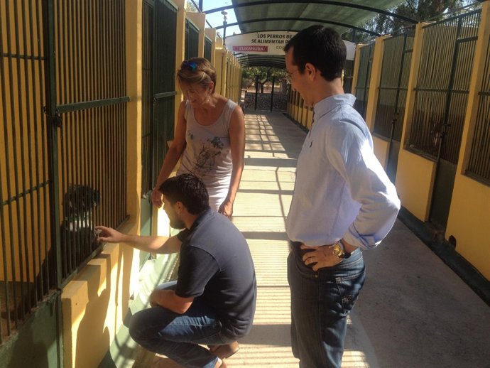 La portavoz del grupo municipal popular de Palma, Marga Durán 