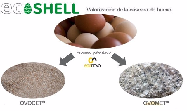 Valorización de la cáscara de huevo como analgésico