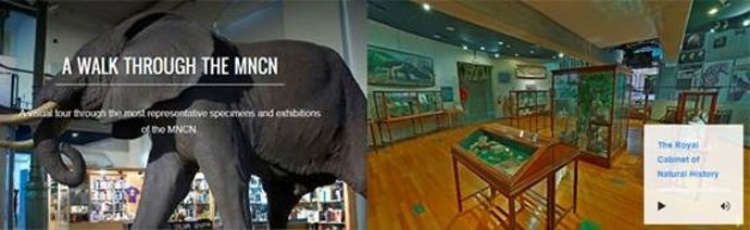 Las piezas del MNCN en Google Arts & Culture.