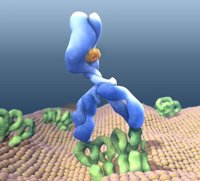 Roche España ofrecerá información molecular exhaustiva de los tumores