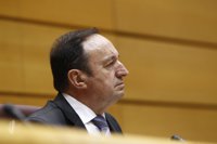 El PP esperará a ver si Rita Barberá dimite o no para tomar "una decisión"