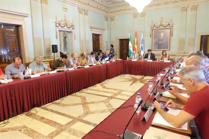 Reunión de la Mesa de los Fosfoyesos