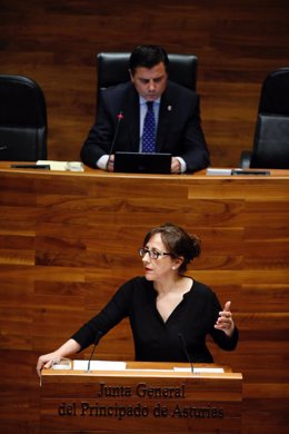 Belén Fernández en el Pleno.