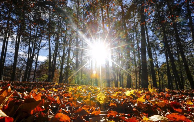 ¿Cuándo Comienza El Otoño 2016?