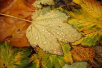 Fotos de otoño que te convencerán de que es la estación más bonita del año