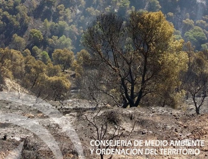 Incendio en Archidona