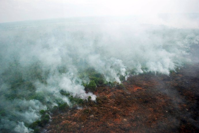 Incendio en Indonesia