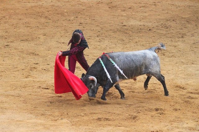Lance en una corrida de toros