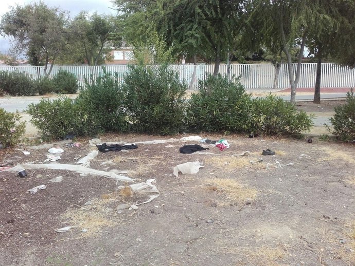 Estado de la plaza de las Acacias.