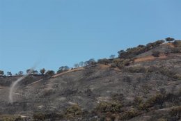 Incendio en Castillo de las Guardas (Sevilla)
