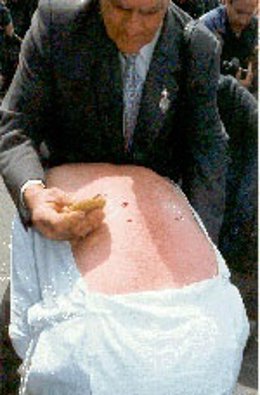 Práctico pinchando a un 'Picao' de San Vicente de la Sonsierra