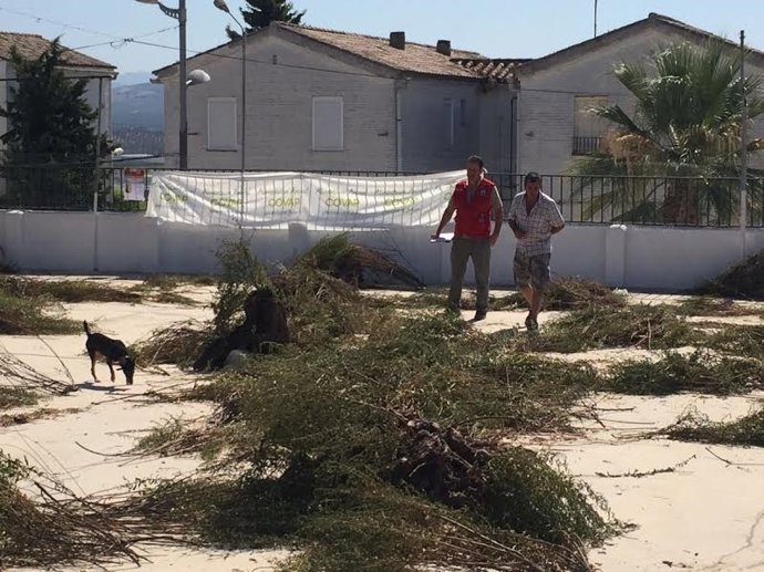 Una de las pruebas de 'agility'