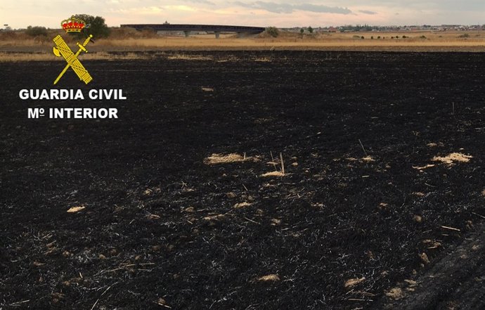 Consecuencias del incendio en Toro (Zamora)