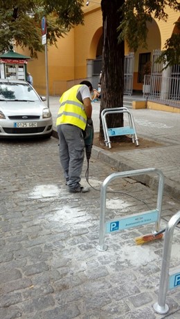 Bicicletero en el Prado de San Sebastián de Sevilla