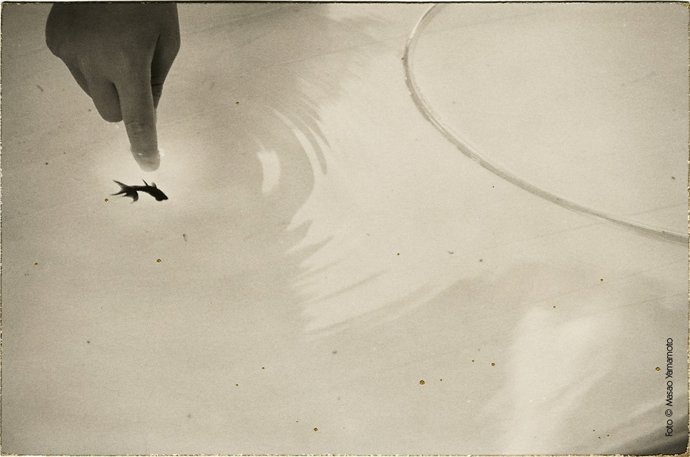 Centro Niemeyer Nota De Prensa Próxima Exposición Aditorio: "Small Things In Sil