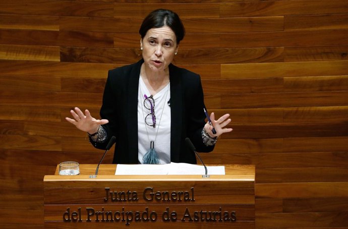  Dolores Carcedo, durante el Pleno. 