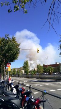Se declara un incendio en una zona forestal de Collserola en Nou Barris
