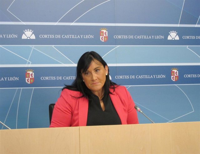 Ana Sánchez en las Cortes