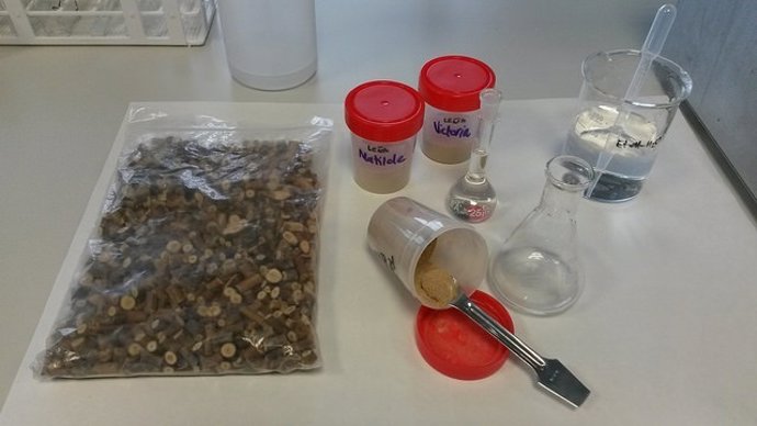 Método con ultrasonido extrae compuestos beneficiosos de madera de poda de vid