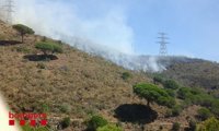 El fuego en Collserola afecta a entre 15 y 20 hectáreas forestales