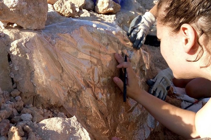 Excavaciones del MARQ en la Pobla de Ifach
