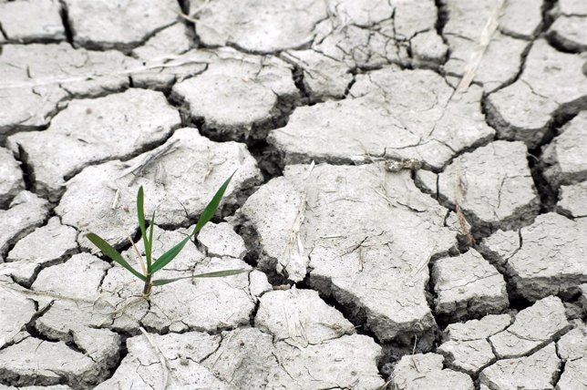 Cambio climático