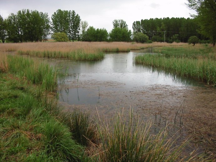 Surgencia De Agua Subterránea En Los Ojos De Monreal (Teruel, NE. España).