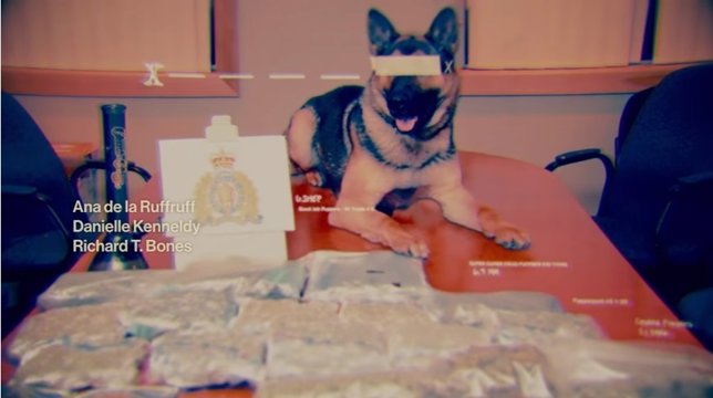 Barkos: la parodia canina de la entrada de la serie Narcos