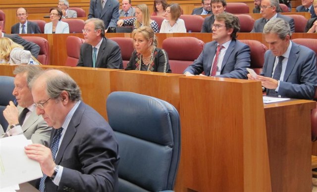 La procuradora y ex vicepresidenta de la Junta, Rosa Valdeón, en el Pleno