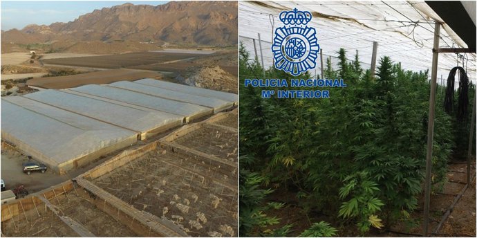 Imagen de la plantación desmantelada