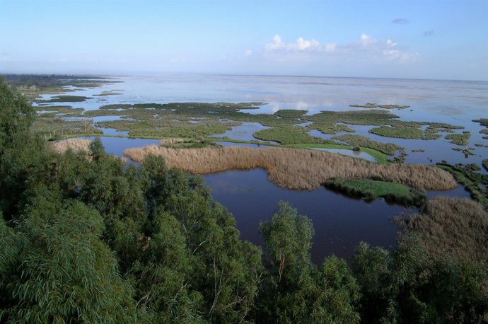 Marismas del Parque Nacional de Doñana