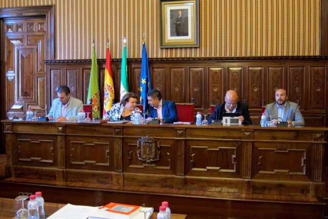 Pleno de debate sobre el estado de la provincia de Jaén 2016.