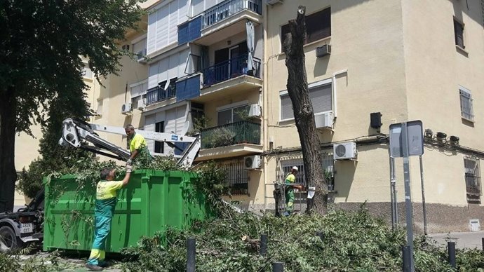 Tala denunciada por Participa.