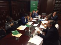 Junta y Gobierno aprueban el plan de actuaciones para demoler el Algarrobico